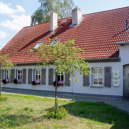 Die Alte Stadtmuehle Direkt An Der Flaemingskate Juterbog Luaran gambar