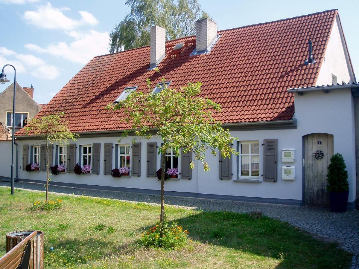 Die Alte Stadtmuehle Direkt An Der Flaemingskate Juterbog Luaran gambar